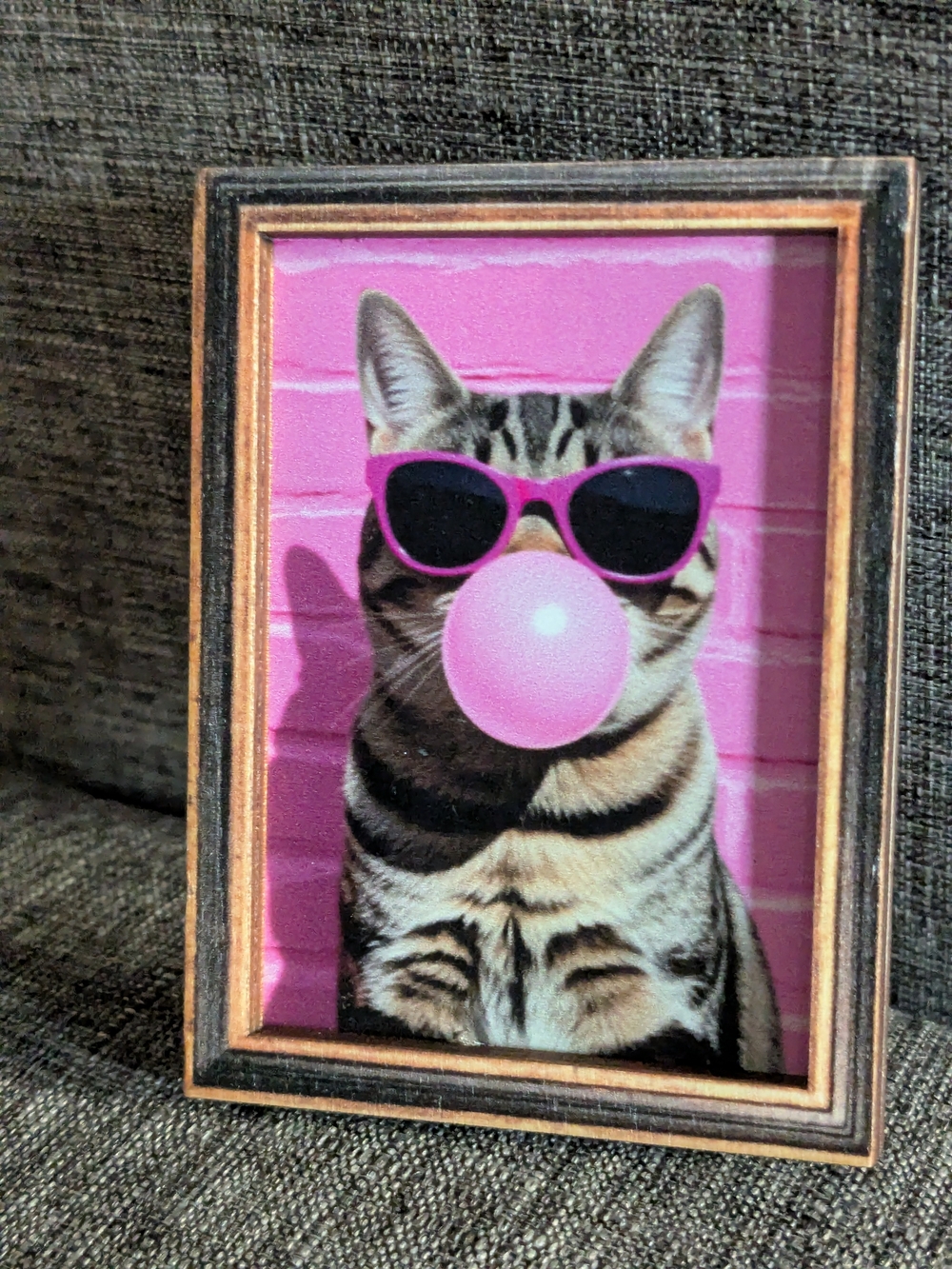 Pink Bubblegum Cat Print Art Magnet